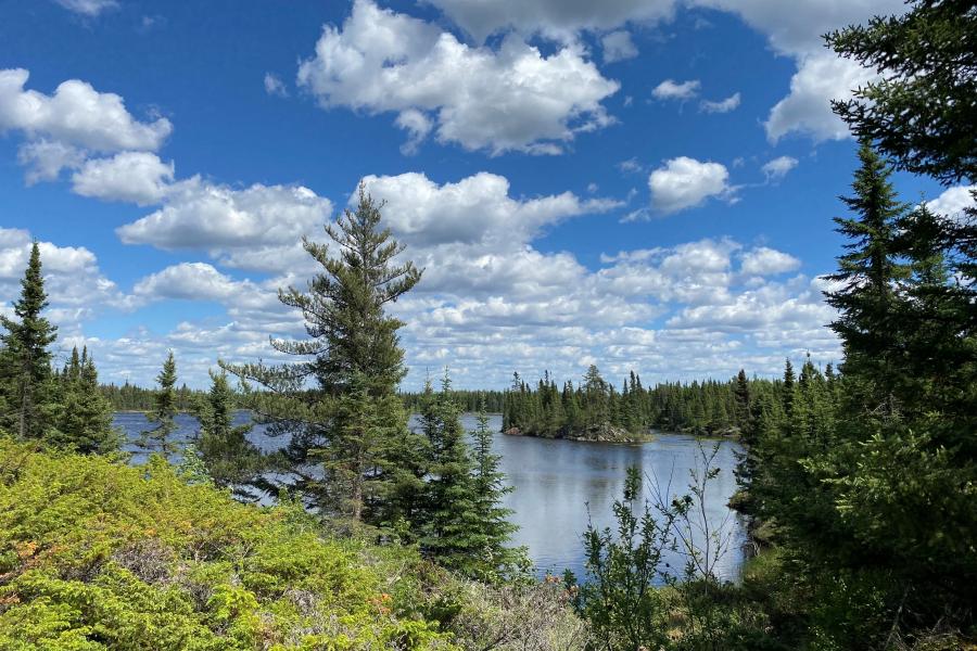 a hillside, some trees and a body of water in the distance.
